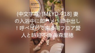 (中文字幕) [MEYD-718] 妻の入浴中に即ハメ！即中出し！呼べば秒で来る同フロア愛人と時短不倫 藤森里穂