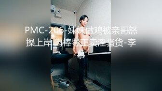 PMC-206-妹妹做鸡被亲哥怒操上岸.肉棒导正卖淫骚货-李慕