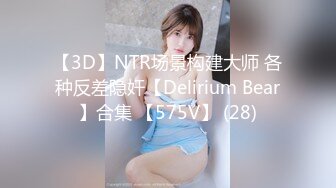 【3D】NTR场景构建大师 各种反差隐奸【Delirium Bear】合集 【575V】 (28)