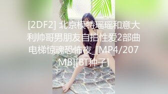 [2DF2] 北京模特瑶瑶和意大利帅哥男朋友自拍性爱2部曲电梯惊魂恐怖夜_[MP4/207MB][BT种子]