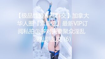 【极品性爱淫乱群交】加拿大华人圈『索菲娅』最新VIP订阅私拍③多对夫妻聚众淫乱 淫乱趴乱交 (6)