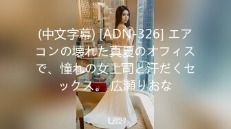 (中文字幕) [ADN-326] エアコンの壊れた真夏のオフィスで、憧れの女上司と汗だくセックス。 広瀬りおな