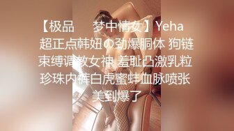 【极品❤️梦中情女】Yeha✨ 超正点韩妞の劲爆胴体 狗链束缚调教女神 羞耻凸激乳粒 珍珠内裤白虎蜜蚌血脉喷张 美到爆了