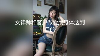 女律师和客户做爱用身体达到目的