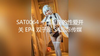 SAT0064 十二星座的性爱开关 EP4 双子座 SA国际传媒