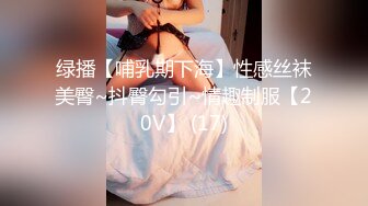 绿播【哺乳期下海】性感丝袜美臀~抖臀勾引~情趣制服【20V】 (17)