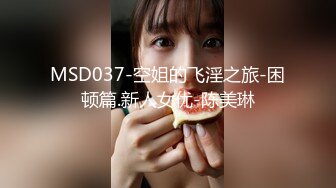 MSD037-空姐的飞淫之旅-困顿篇.新人女优-陈美琳