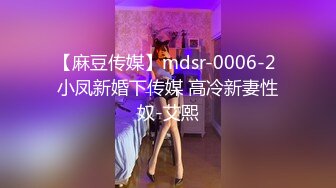 【麻豆传媒】mdsr-0006-2 小凤新婚下传媒 高冷新妻性奴-艾熙