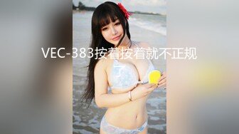 VEC-383按着按着就不正规了