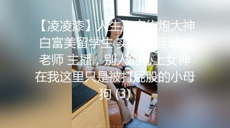 【凌凌漆】人生赢家约炮大神 白富美留学生 实习空姐 瑜伽老师 主播，别人的心上女神在我这里只是被打屁股的小母狗 (3)