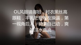 OL风眼镜御姐，衬衣黑丝高跟鞋，丰乳肥臀炮友操逼，第一视角后入，骑乘自己动，爽的淫水直流