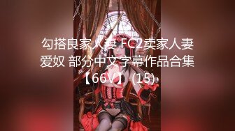 勾搭良家人妻 FC2卖家人妻爱奴 部分中文字幕作品合集【66V】 (15)