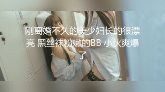 刚离婚不久的美少妇长的很漂亮 黑丝袜粉嫩的BB 小伙爽爆了