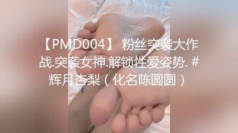 【PMD004】 粉丝突袭大作战.突袭女神.解锁性爱姿势. #辉月杏梨（化名陈圆圆）