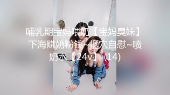 哺乳期宝妈喂奶【宝妈臭妹】下海赚奶粉钱~抠穴自慰~喷奶水【24v】 (14)