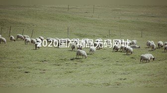 2020国产精品无码网址