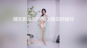 精东影业JD066上错花轿嫁对郎