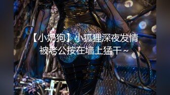 【小奶狗】小狐狸深夜发情 被老公按在墙上猛干～